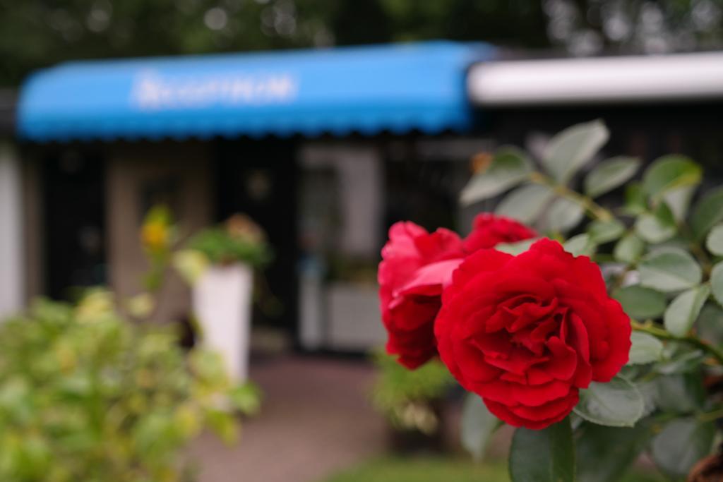 Am Hallenbad Hotel Garni Ratingen Dış mekan fotoğraf